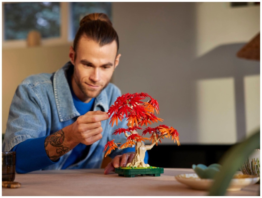 Конструктор Lego Botanicals Бонсай из японского красного клена (10348) фото 8