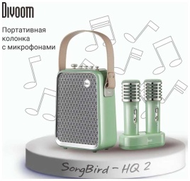 Портативная колонка с двумя микрофонами Divoom SongBird-HQ 2, зеленый
