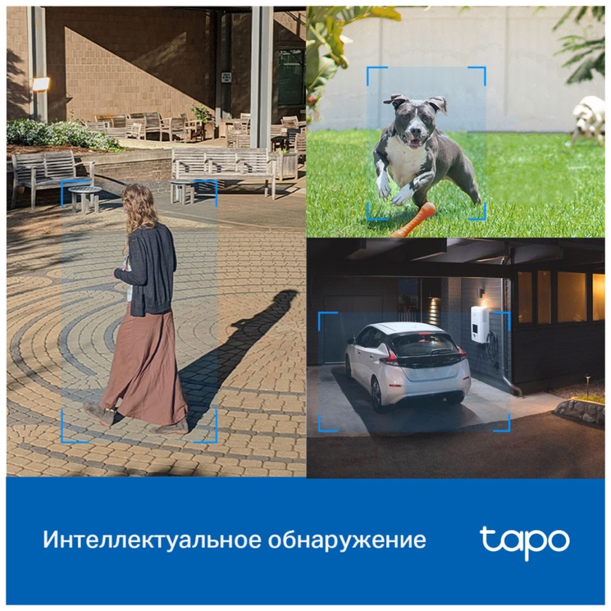 Умная уличная поворотная камера TP-Link Tapo C520WS фото 6