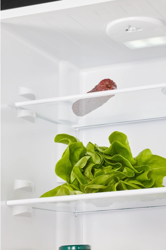 Двухкамерный холодильник Nord NRB 121 B фото 7