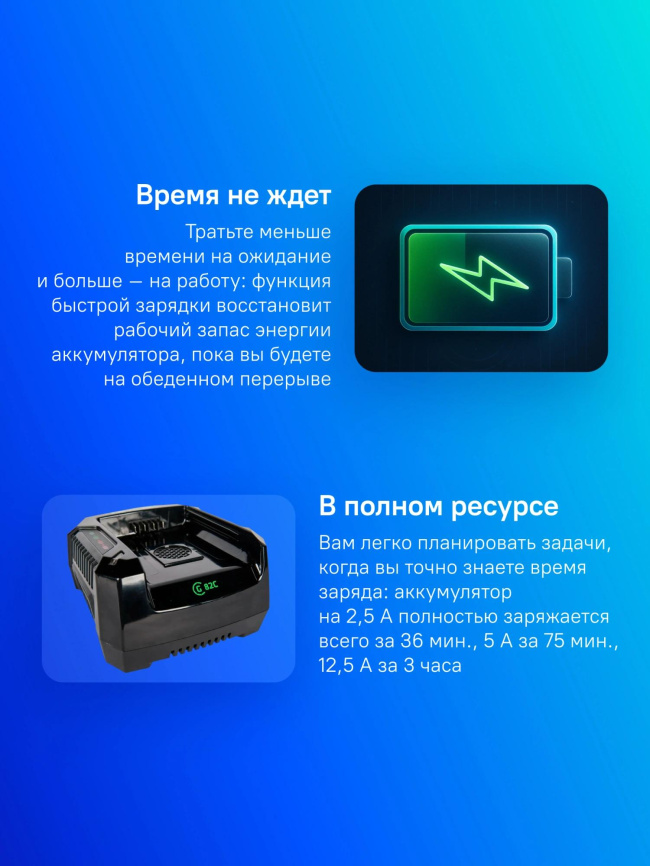 Зарядное устройство Greenworks 2914707 фото 2