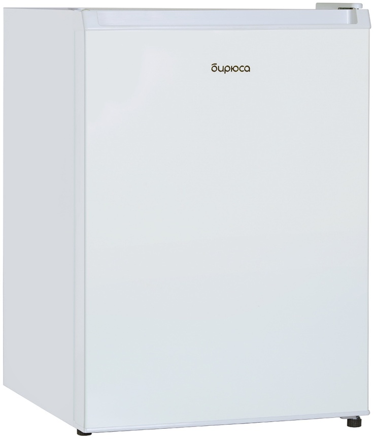 Однокамерный холодильник Бирюса 81 фото 4