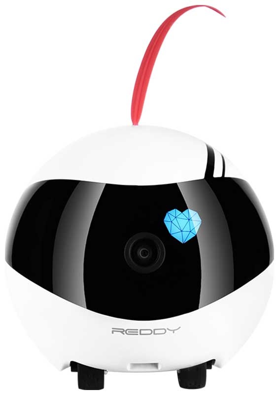 Робот-помощник Red Solution Reddy AIR фото 3