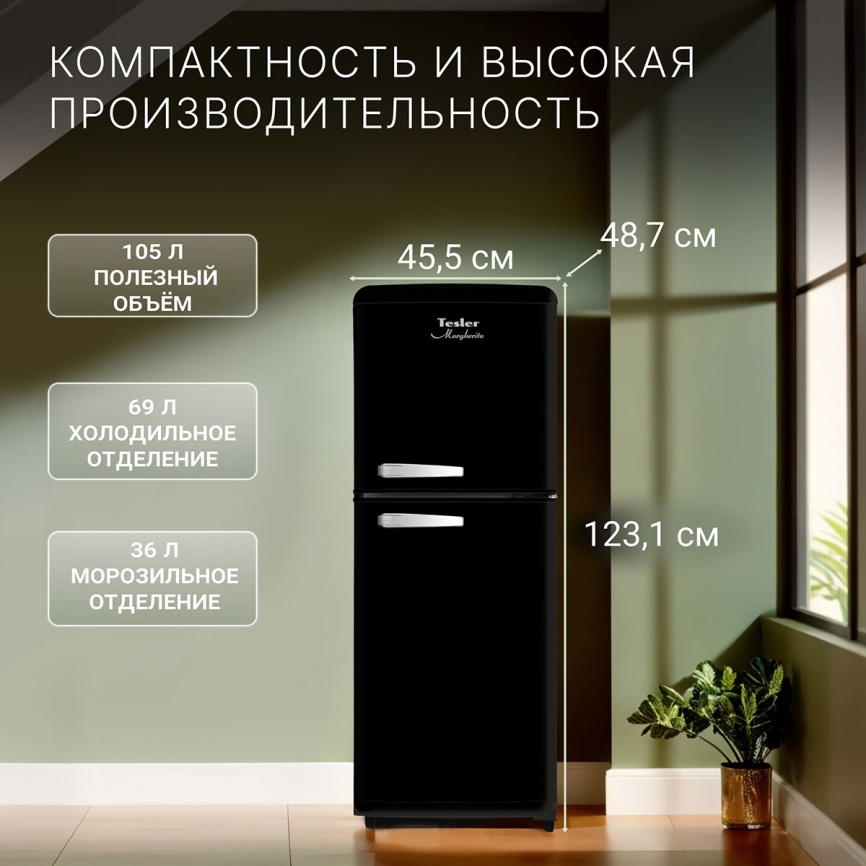 Двухкамерный холодильник Tesler RT-110, черный фото 4