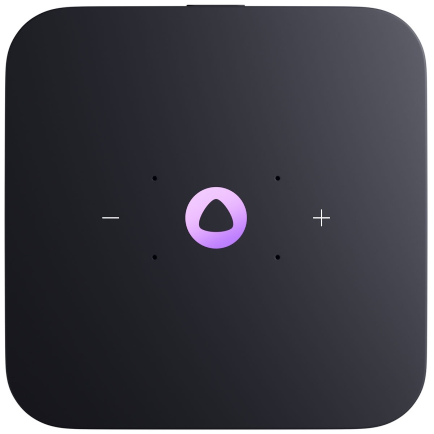 Умная колонка Яндекс Станция Миди с Алисой, с Zigbee, 24Вт, малиновый фото 2