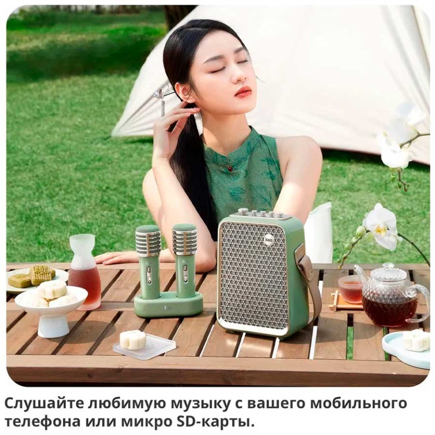 Портативная колонка с двумя микрофонами Divoom SongBird-HQ 2, зеленый фото 12