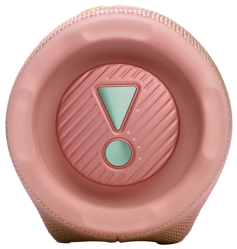 Портативная колонка JBL CHARGE 6, розовый фото 4