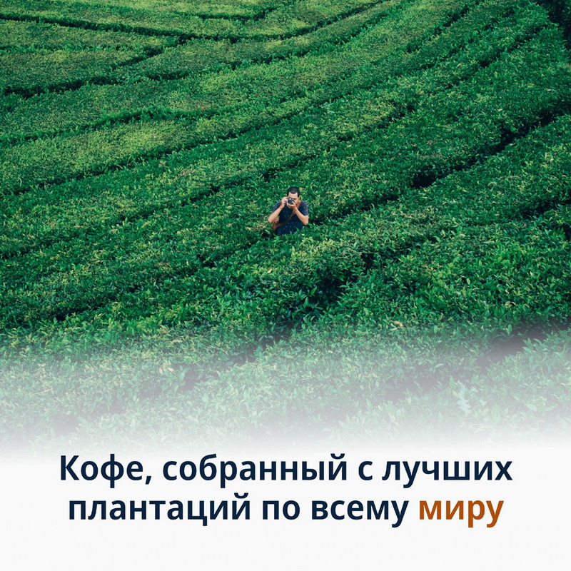 Кофе зерновой De’Longhi Signature coffee Prestige 1кг фото 8