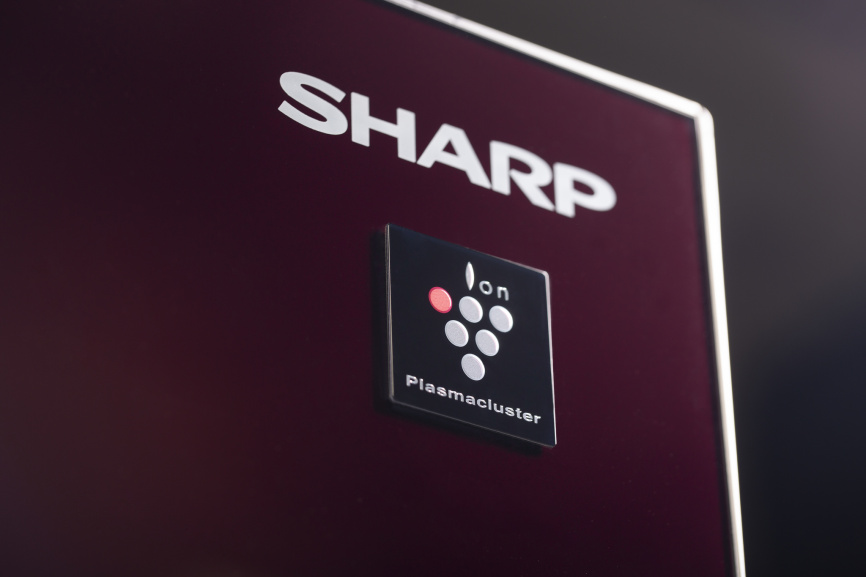 Холодильник Sharp Sharp SJ-GX98PRD фото 3