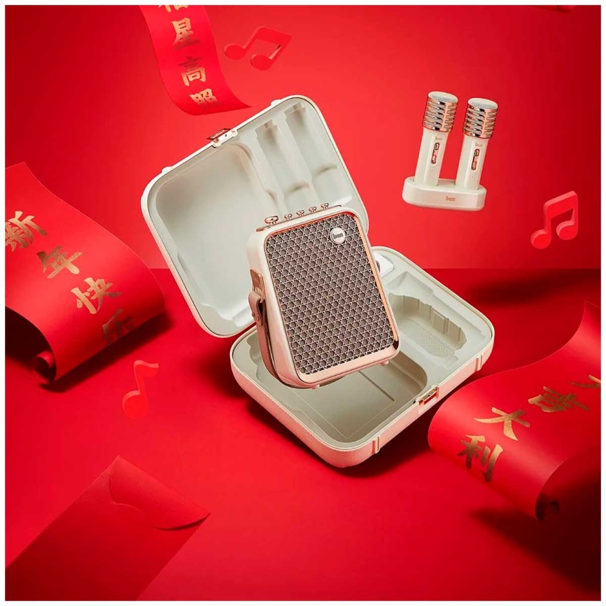 Портативная колонка с двумя микрофонами Divoom SongBird-HQ 2, белый фото 8