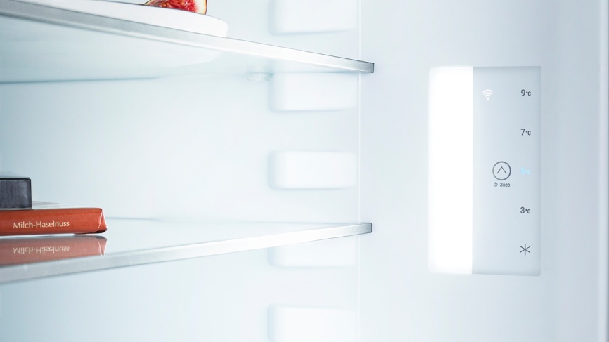 Однокамерный холодильник Liebherr Re 1401-20 001, белый фото 13