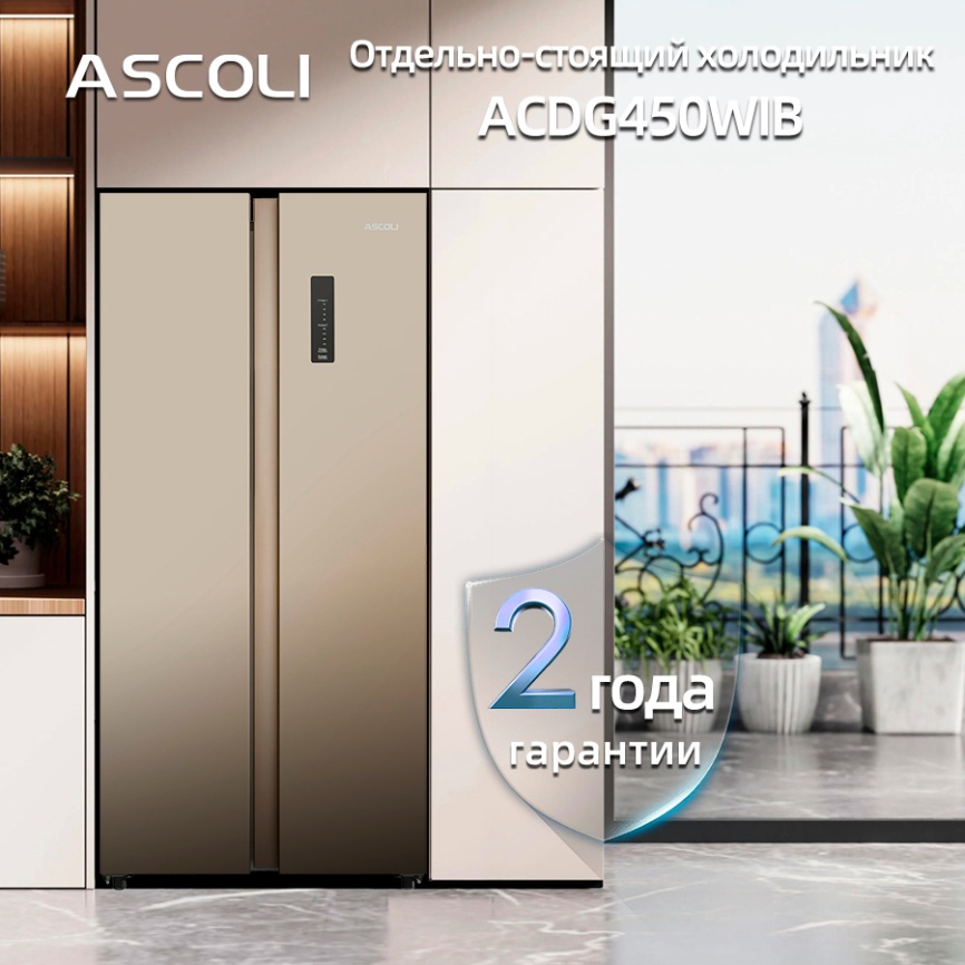 Холодильник Side-by-Side Ascoli ACDG450WIB фото 10