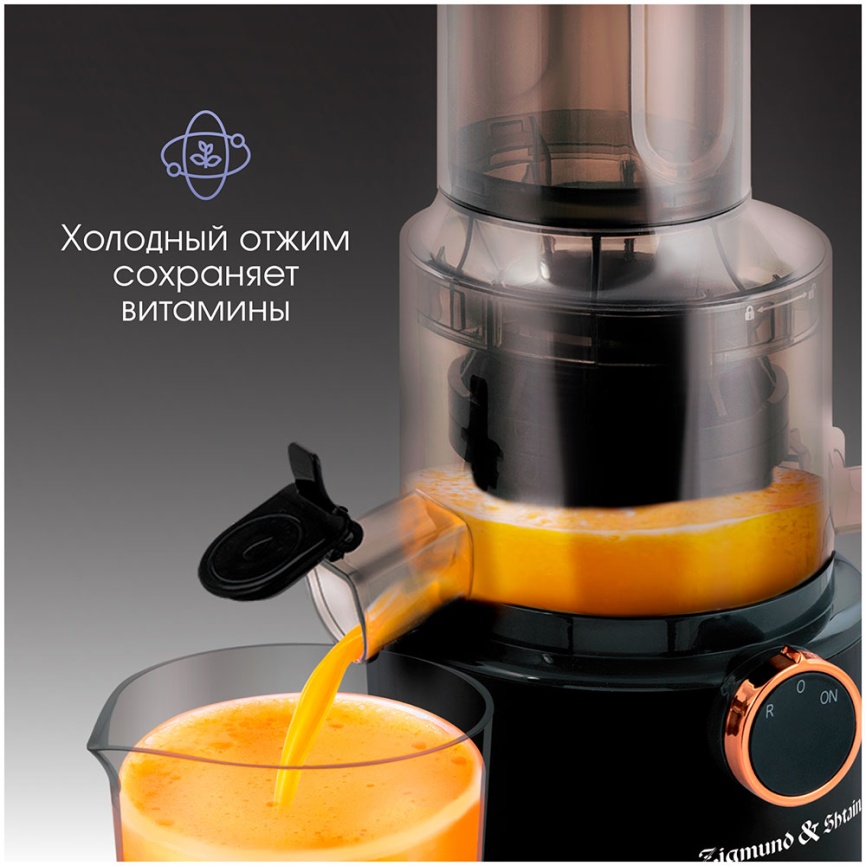 Соковыжималка шнековая Zigmund & Shtain ESJ-771 фото 6