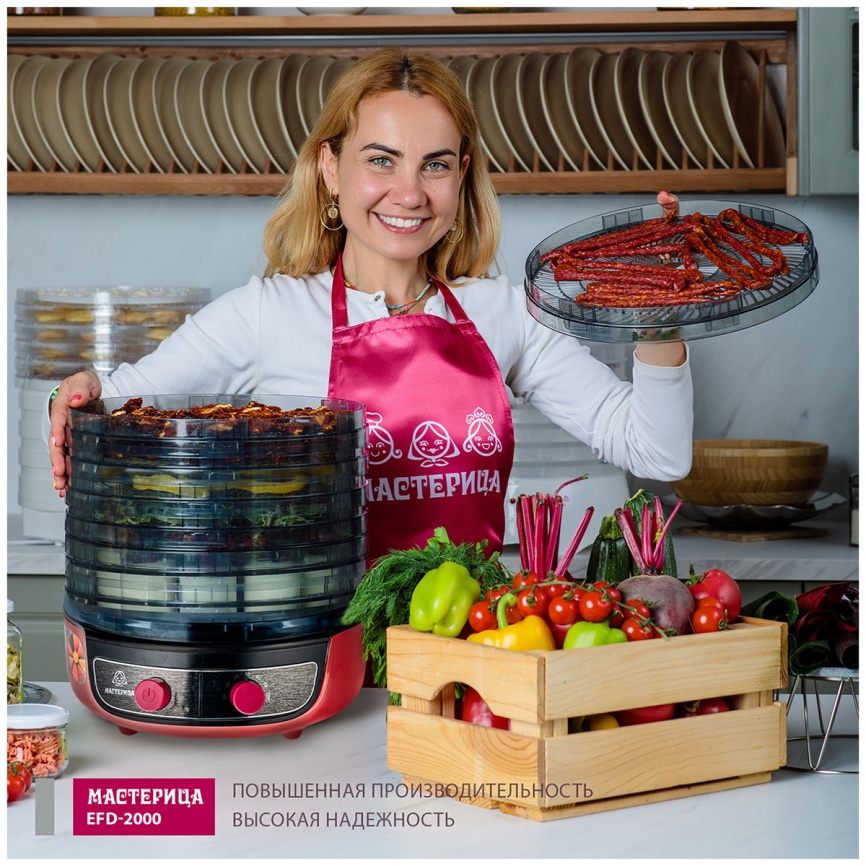 Сушилка для овощей 3 в 1 Мастерица с функциями приготовления йогурта и десертов EFD-2000, вишнево-черный фото 10