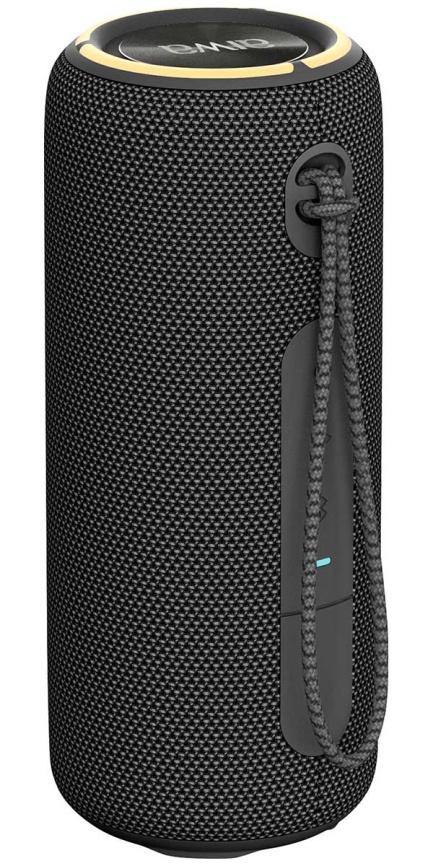 Беспроводная колонка AIWA PAS-H300, black фото 3