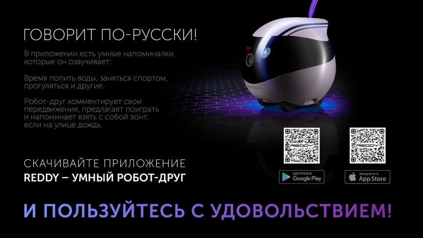 Робот-помощник Red Solution Reddy AIR фото 19