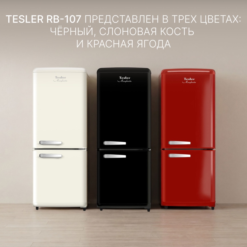 Двухкамерный холодильник Tesler RB-107, черный фото 8