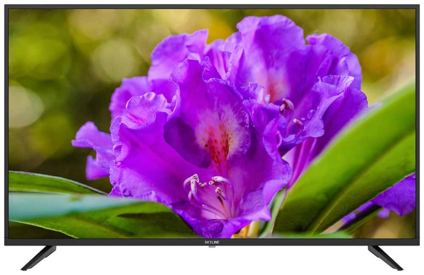 Телевизор Skyline 43LT5901 фото 1