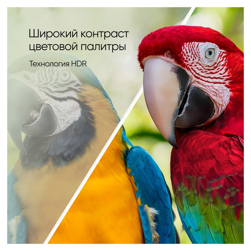 Телевизор Topdevice TDTV55DQ08U_BK, 55 дюйма, 4K Ultra HD, смарт ТВ, Google TV, черный фото 14